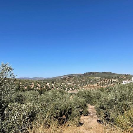 Lafrenchtouch - Escapada Rural En Una Coqueta Casa Villanueva de Tapia Dış mekan fotoğraf