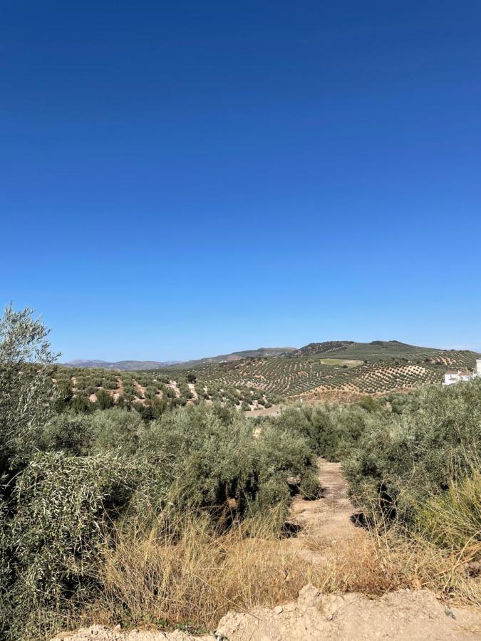 Lafrenchtouch - Escapada Rural En Una Coqueta Casa Villanueva de Tapia Dış mekan fotoğraf